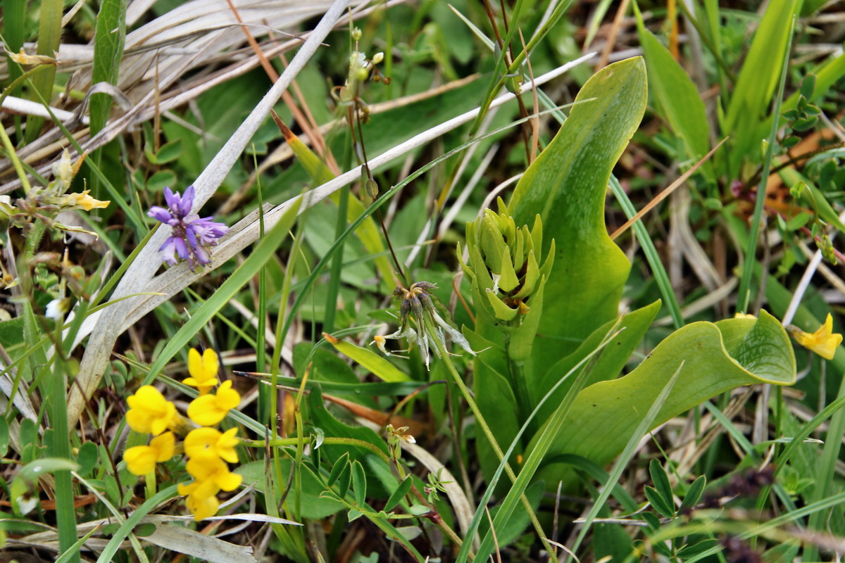 IMG-2015-06-01-00005257p_Bildgr��e �ndern