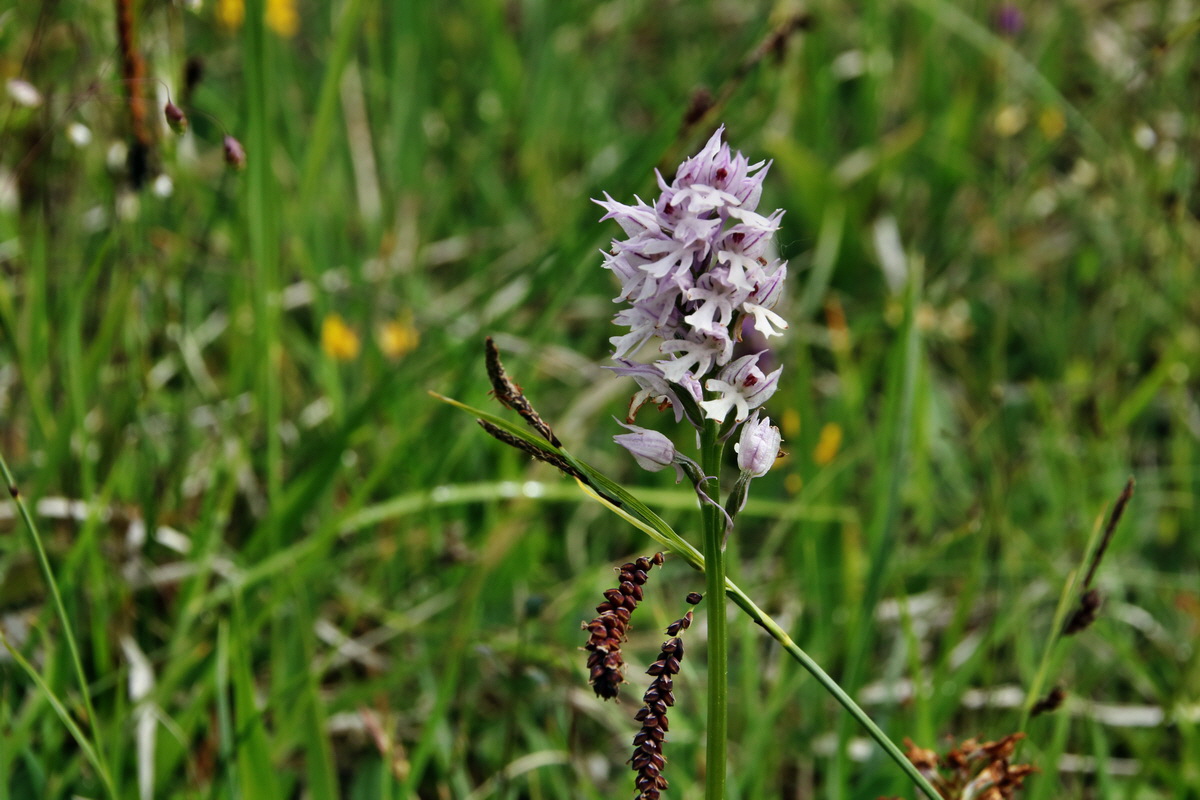 IMG-2015-06-01-00005264p_Bildgr��e �ndern