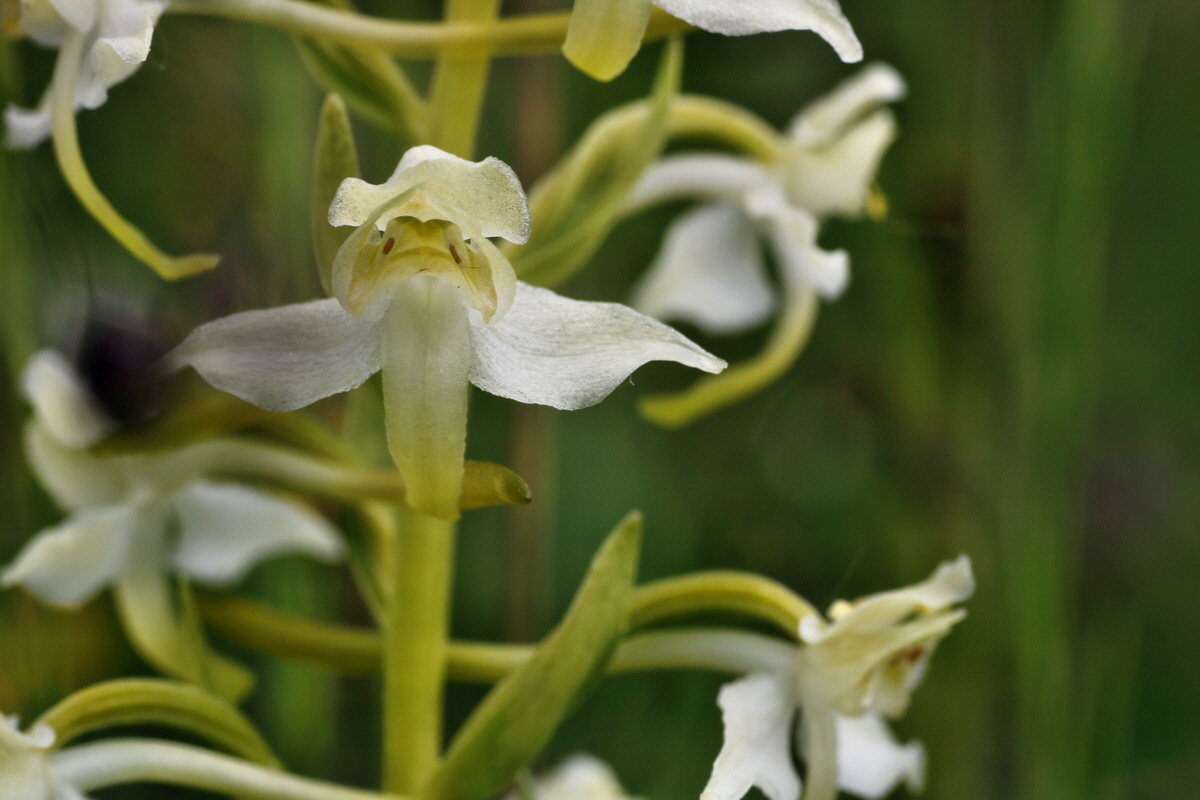 IMG-2015-06-01-00005271p_Bildgr��e �ndern