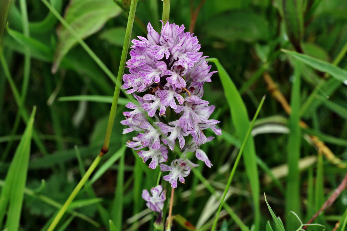 IMG-2015-06-01-00005280p_Bildgr��e �ndern