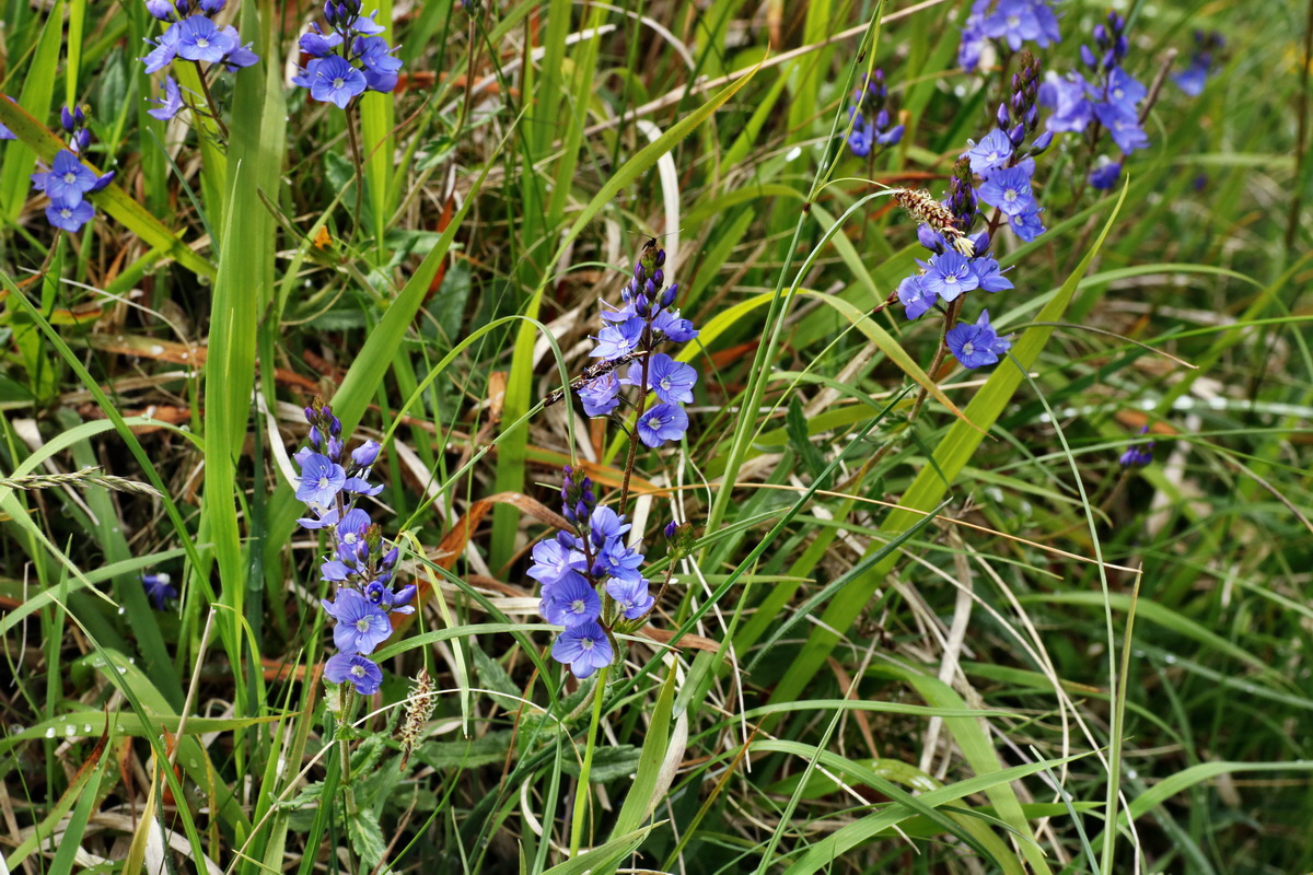 IMG-2015-06-01-00005284p_Bildgr��e �ndern