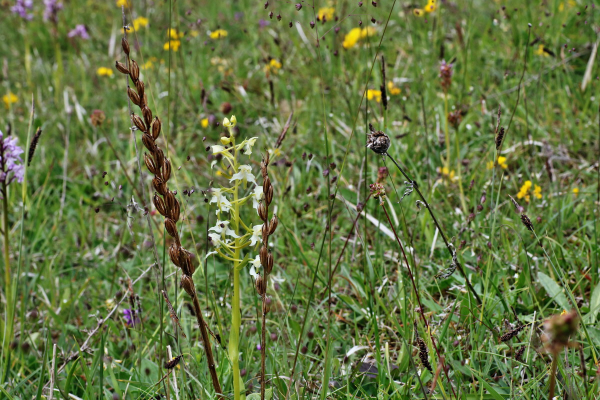 IMG-2015-06-01-00005303p_Bildgr��e �ndern