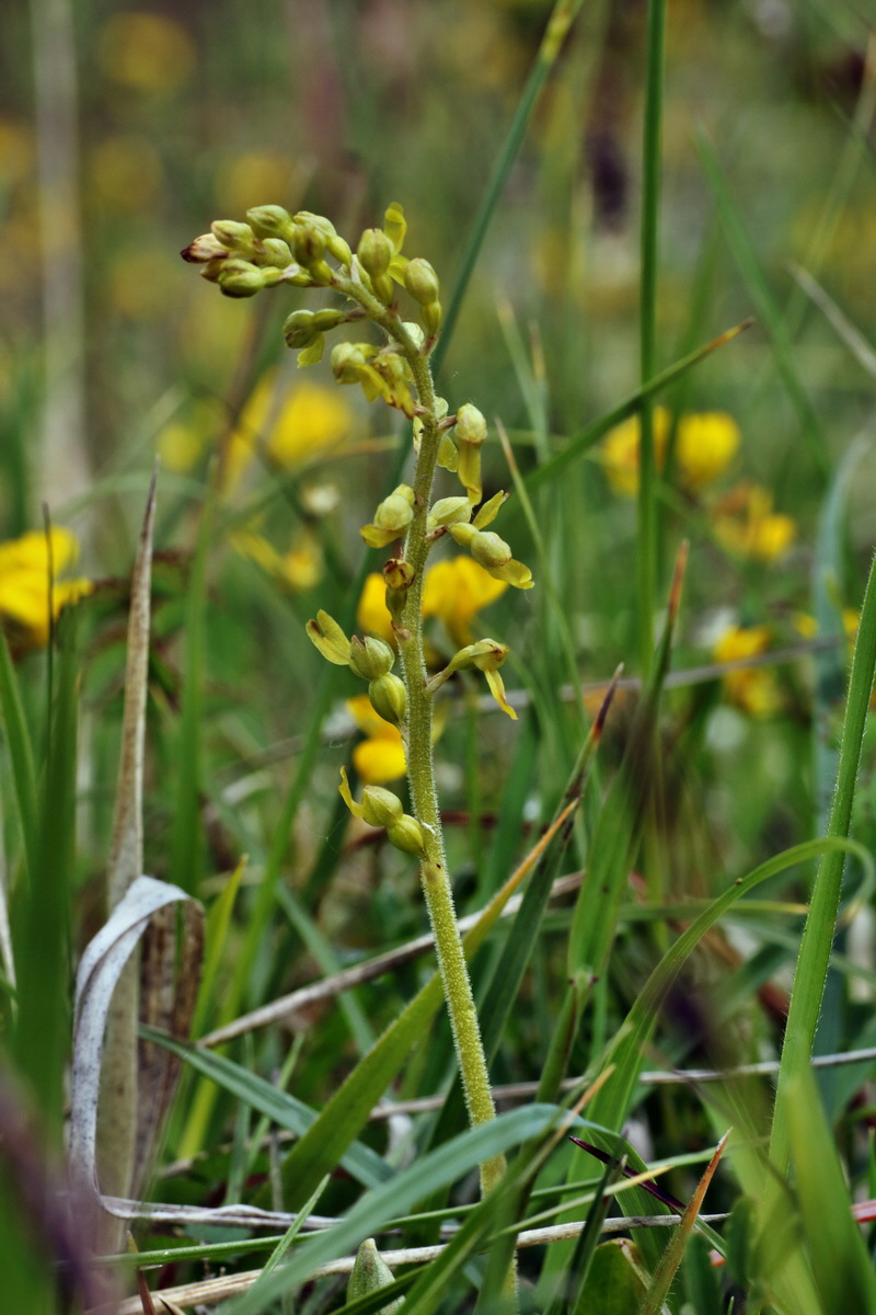 IMG-2015-06-01-00005318p_Bildgr��e �ndern