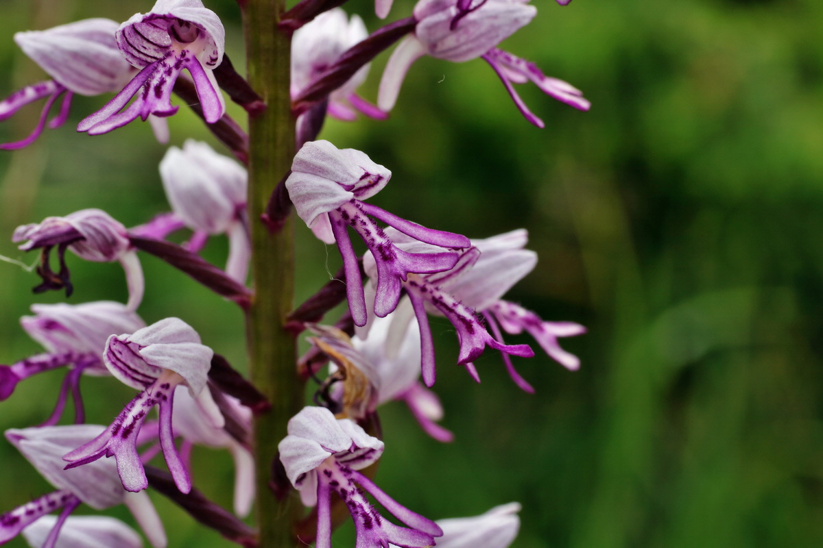 IMG-2015-06-01-00005321p_Bildgr��e �ndern