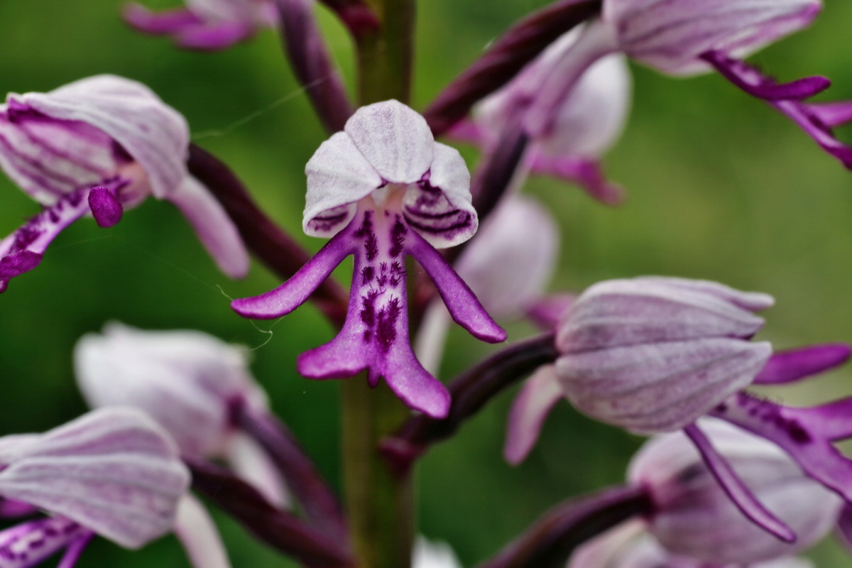 IMG-2015-06-01-00005324p_Bildgr��e �ndern