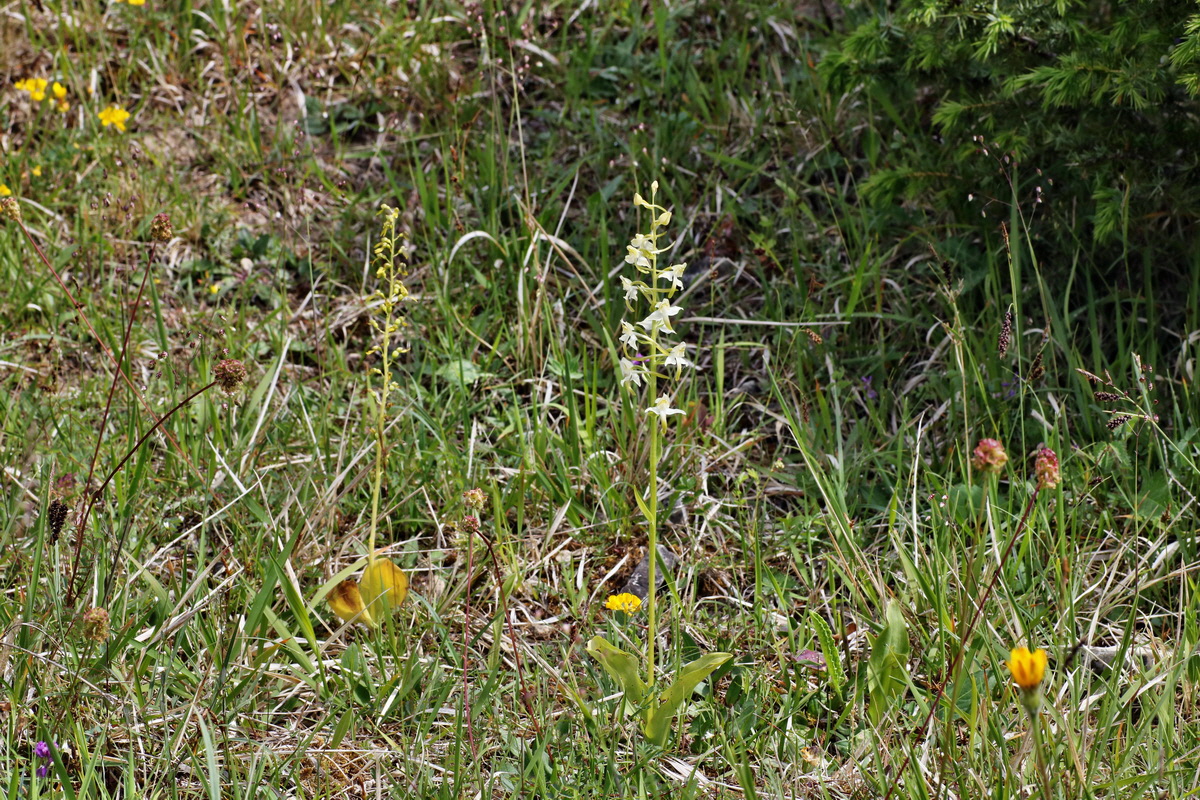 IMG-2015-06-01-00005326p_Bildgr��e �ndern