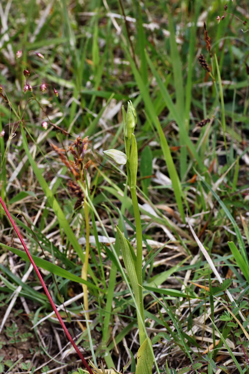 IMG-2015-06-01-00005340p_Bildgr��e �ndern