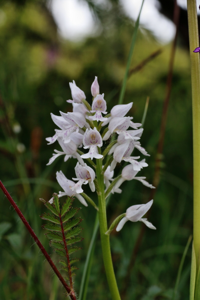 IMG-2015-06-01-00005344p_Bildgr��e �ndern