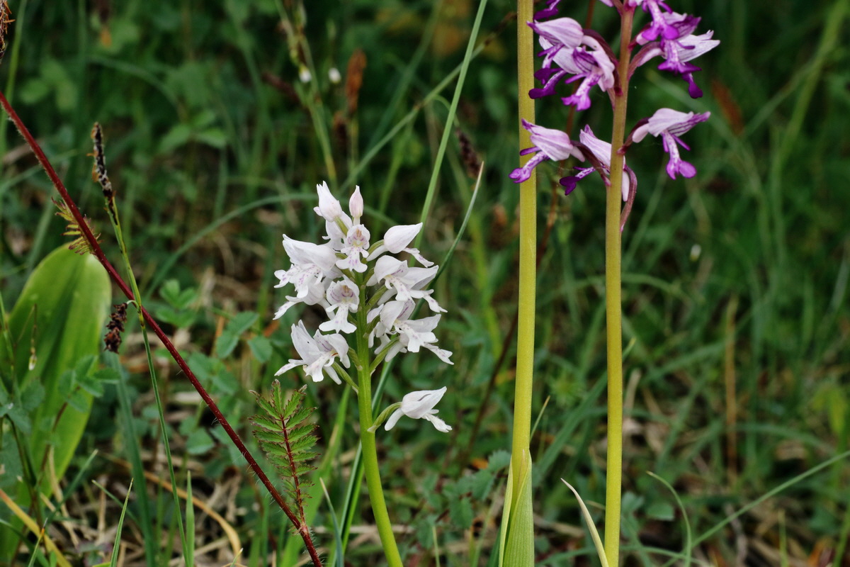 IMG-2015-06-01-00005347p_Bildgr��e �ndern