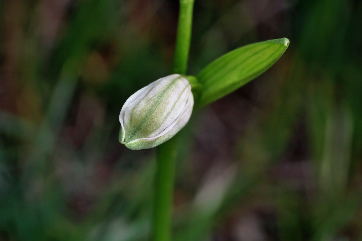 IMG-2015-06-01-00005351p_Bildgr��e �ndern