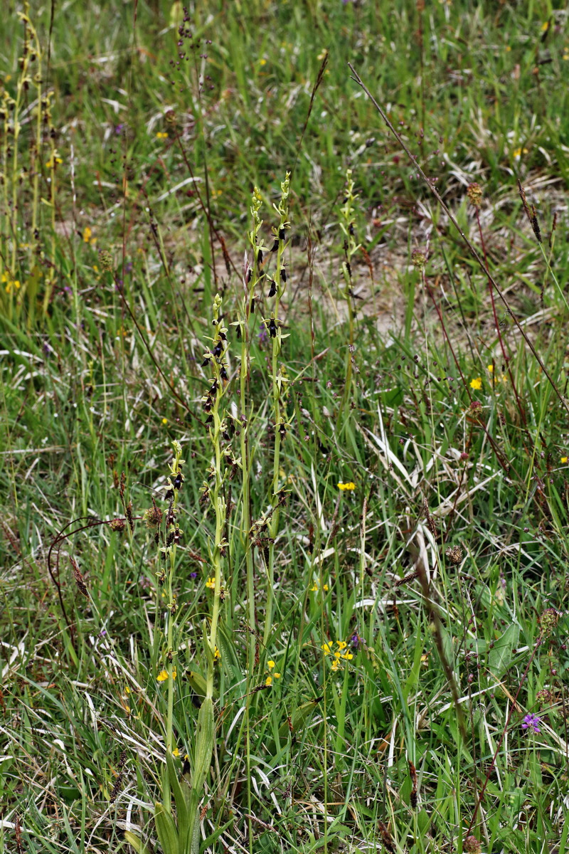 IMG-2015-06-01-00005354p_Bildgr��e �ndern