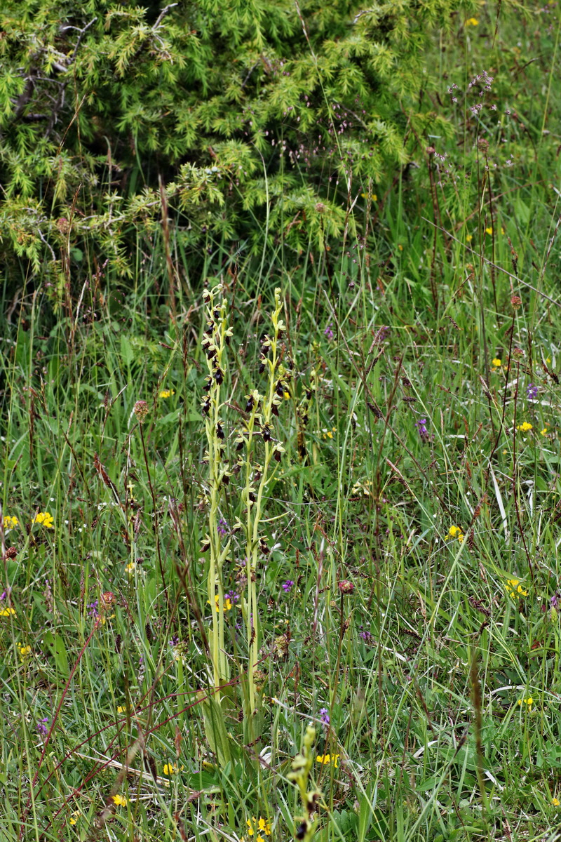 IMG-2015-06-01-00005357p_Bildgr��e �ndern