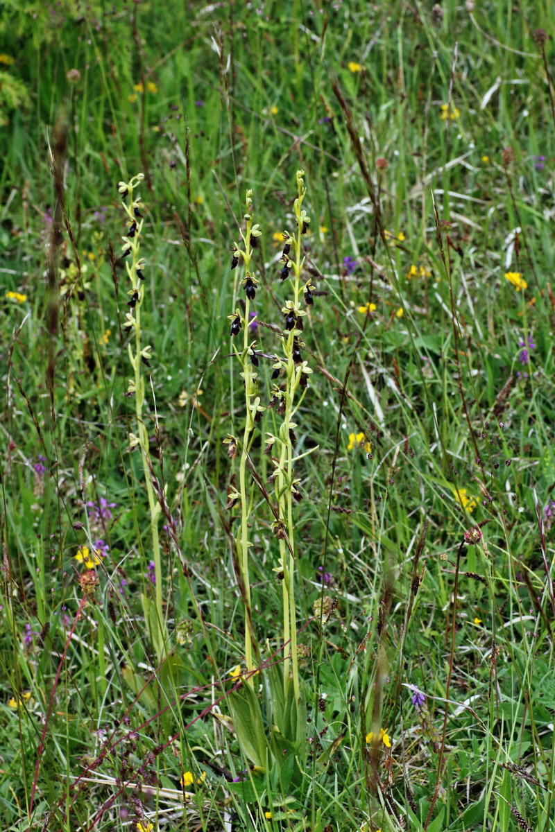 IMG-2015-06-01-00005359p_Bildgr��e �ndern