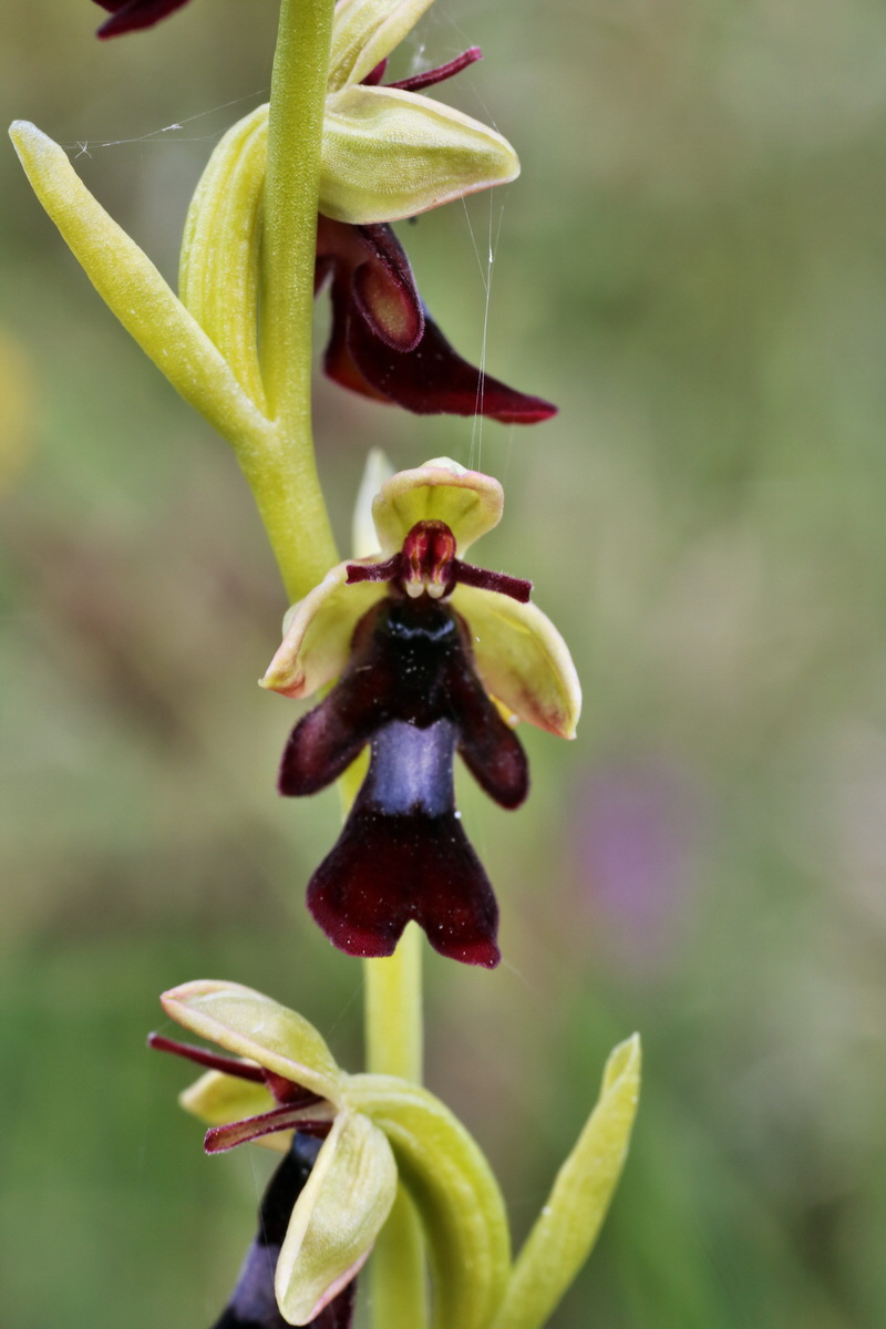 IMG-2015-06-01-00005369p_Bildgr��e �ndern