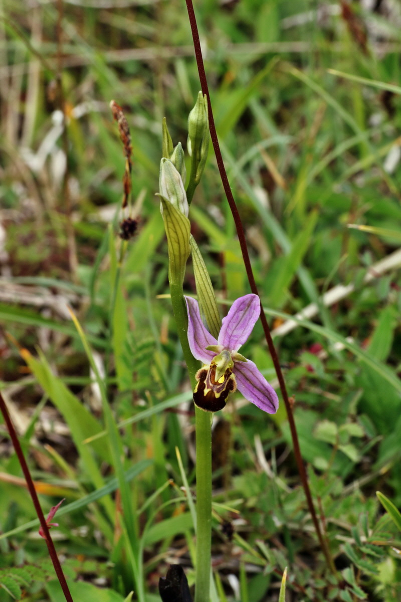 IMG-2015-06-01-00005373p_Bildgr��e �ndern