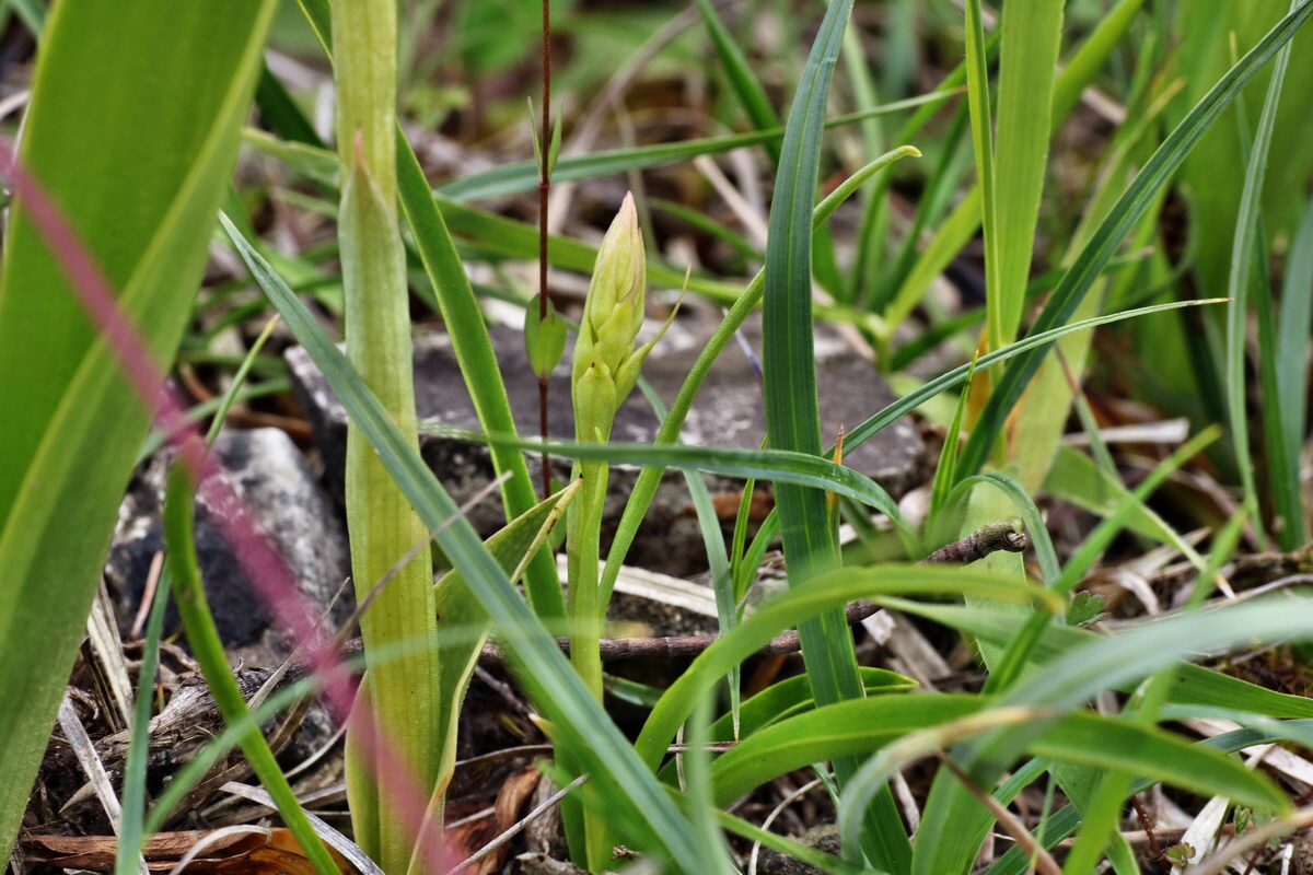 IMG-2015-06-01-00005376p_Bildgr��e �ndern