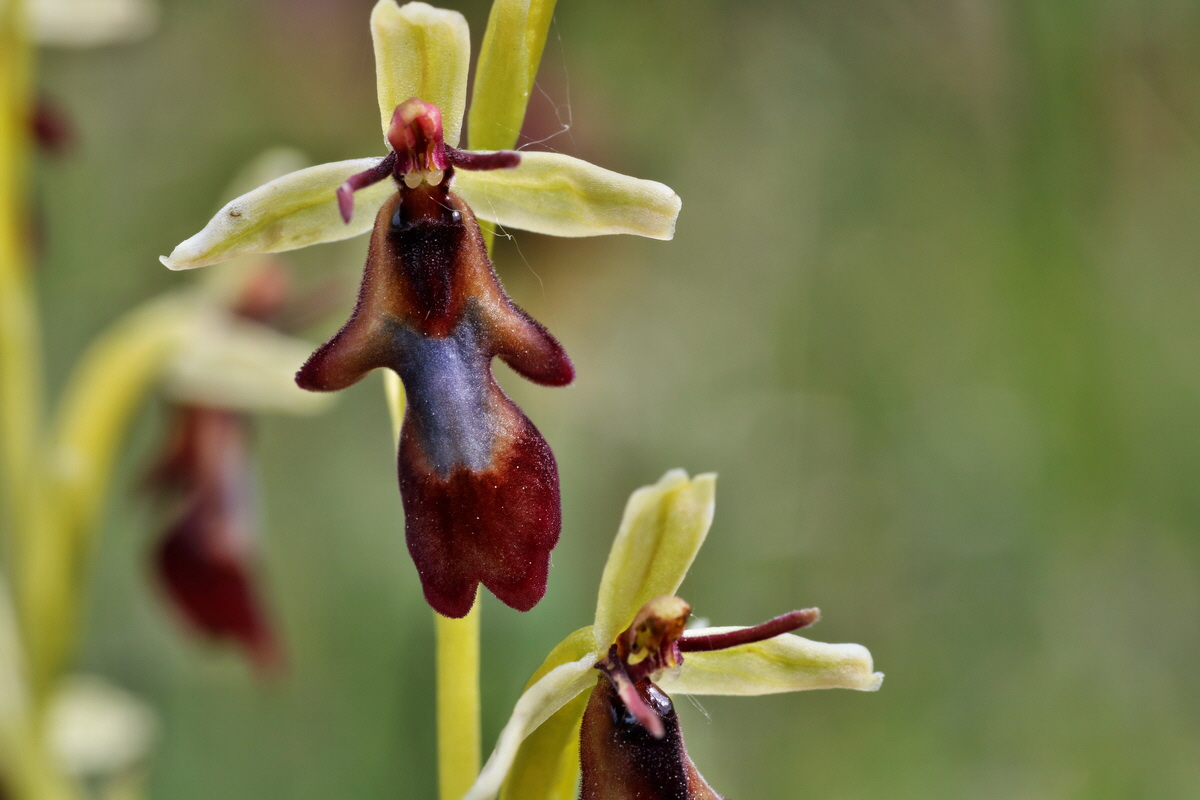 IMG-2015-06-01-00005379p_Bildgr��e �ndern