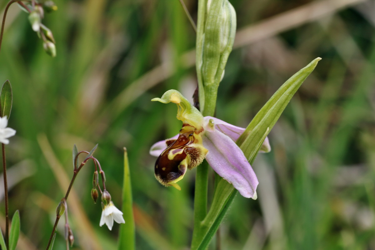 IMG-2015-06-01-00005415p_Bildgr��e �ndern