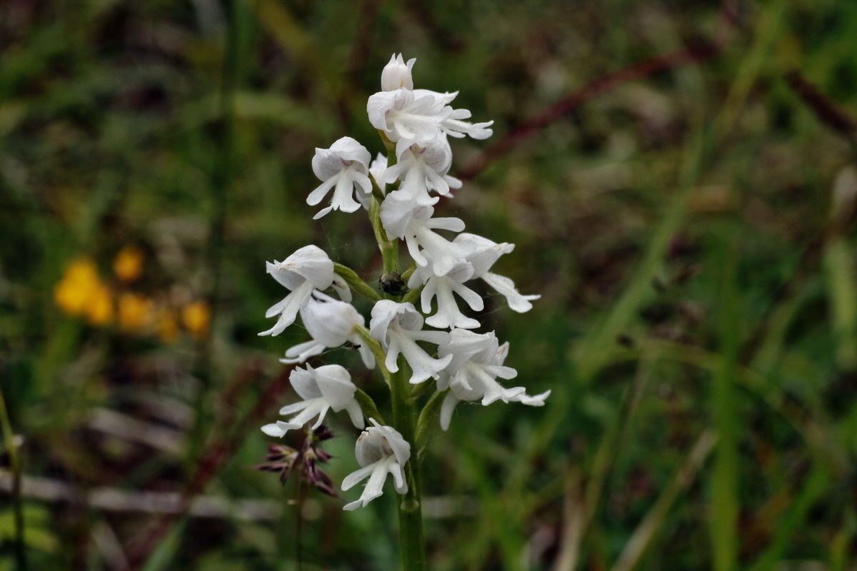 IMG-2015-06-01-00005422p_Bildgr��e �ndern