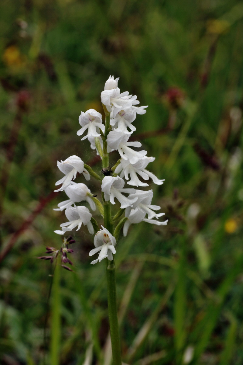 IMG-2015-06-01-00005424p_Bildgr��e �ndern