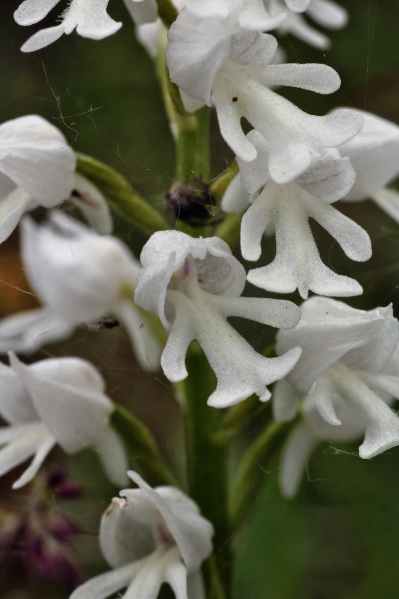 IMG-2015-06-01-00005426p_Bildgr��e �ndern