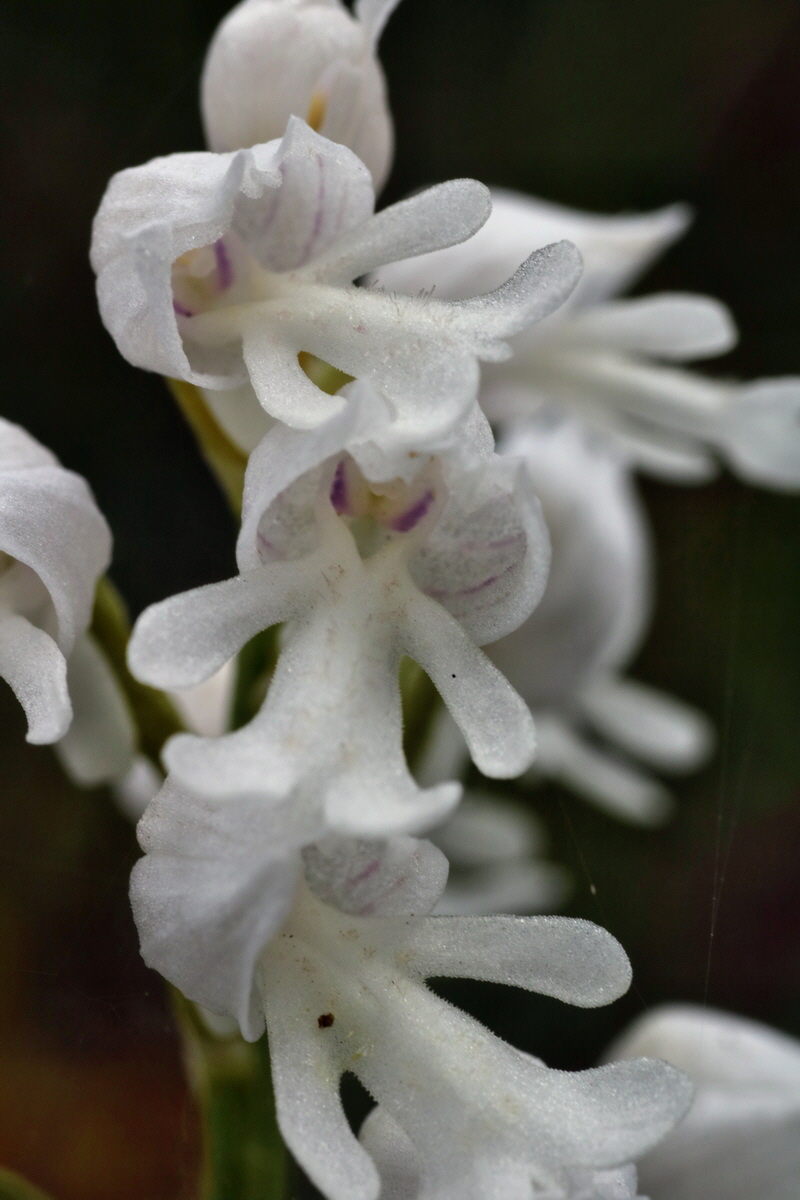 IMG-2015-06-01-00005428p_Bildgr��e �ndern