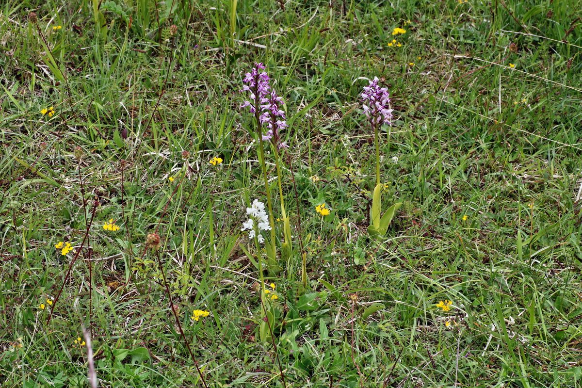 IMG-2015-06-01-00005433p_Bildgr��e �ndern