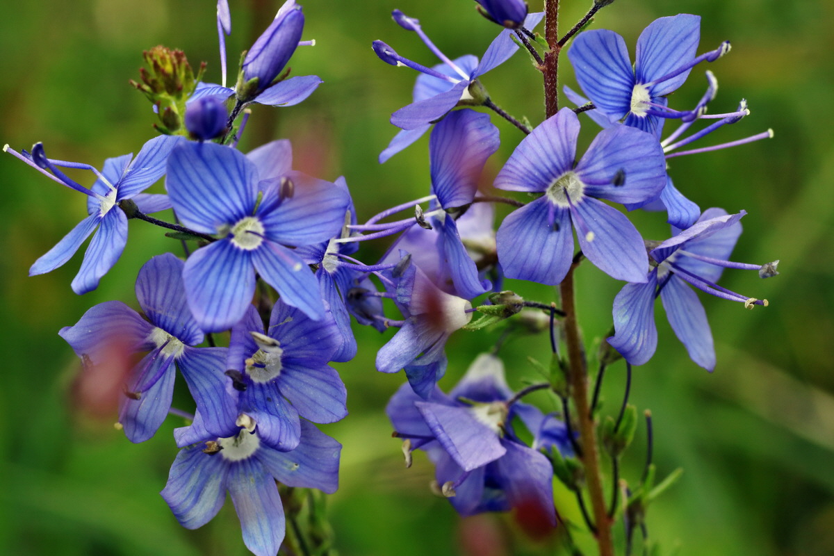 IMG-2015-06-01-00005438p_Bildgr��e �ndern