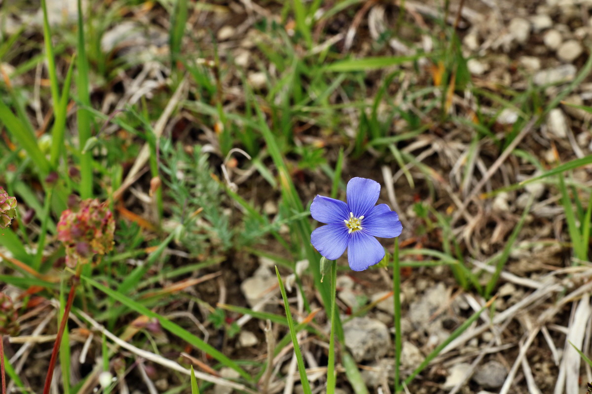 IMG-2015-06-01-00005444p_Bildgr��e �ndern