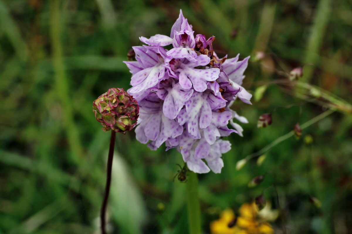 IMG-2015-06-01-00005447p_Bildgr��e �ndern