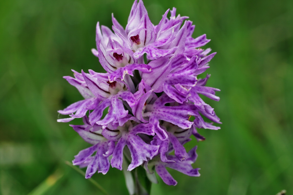 IMG-2015-06-01-00005461p_Bildgr��e �ndern