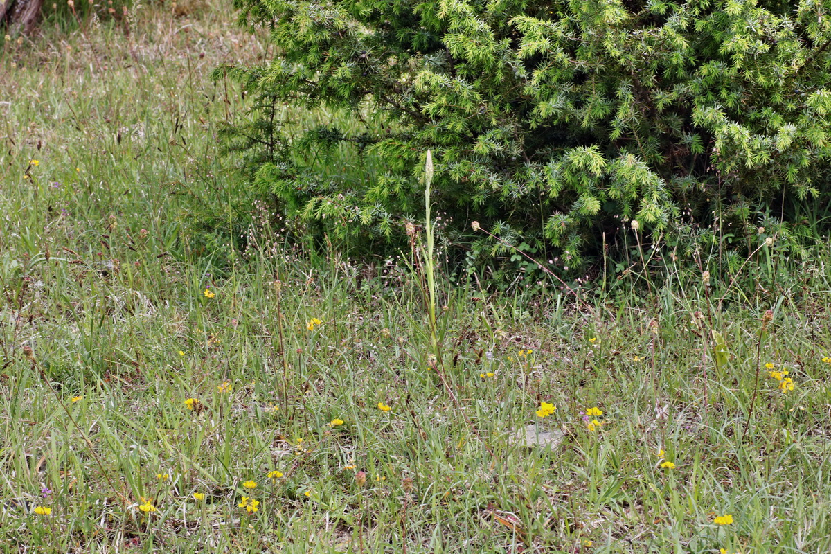 IMG-2015-06-01-00005465p_Bildgr��e �ndern