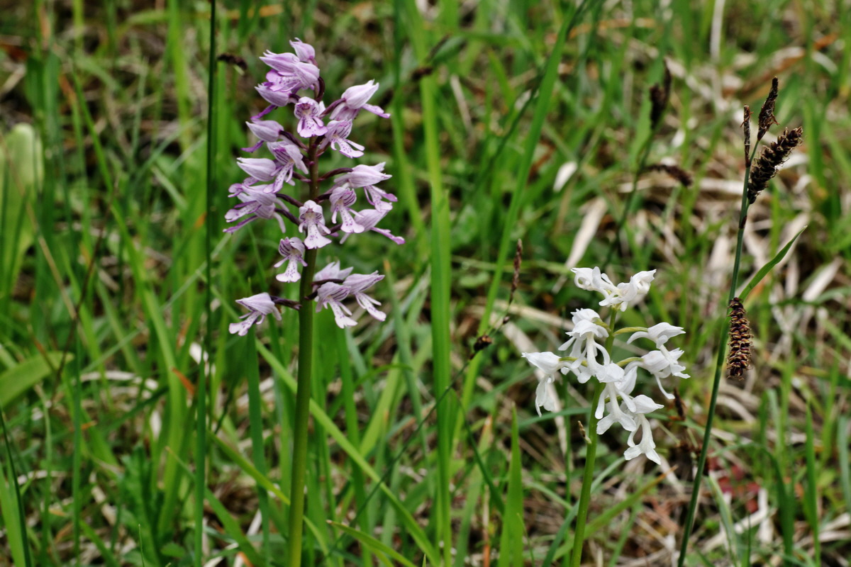 IMG-2015-06-01-00005470p_Bildgr��e �ndern