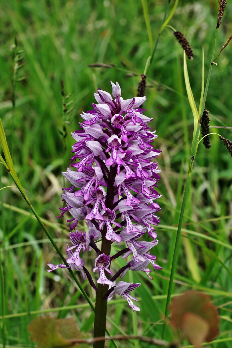 IMG-2015-06-01-00005509p_Bildgr��e �ndern