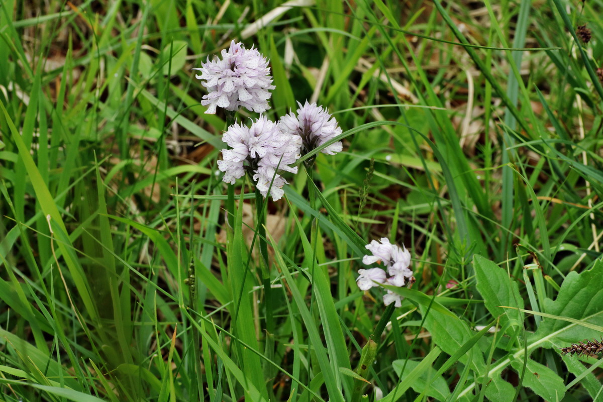 IMG-2015-06-01-00005518p_Bildgr��e �ndern