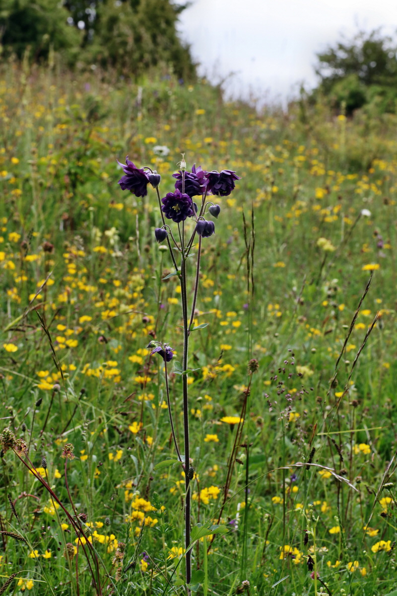 IMG-2015-06-01-00005523p_Bildgr��e �ndern