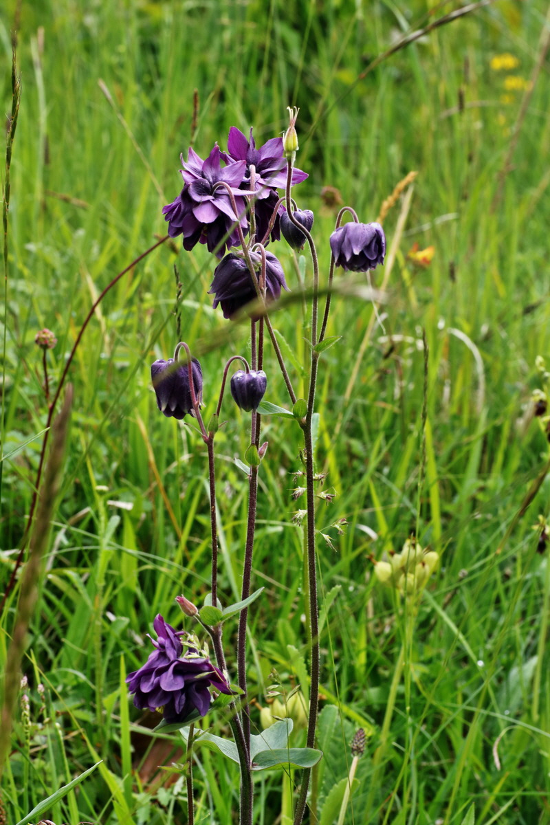 IMG-2015-06-01-00005525p_Bildgr��e �ndern