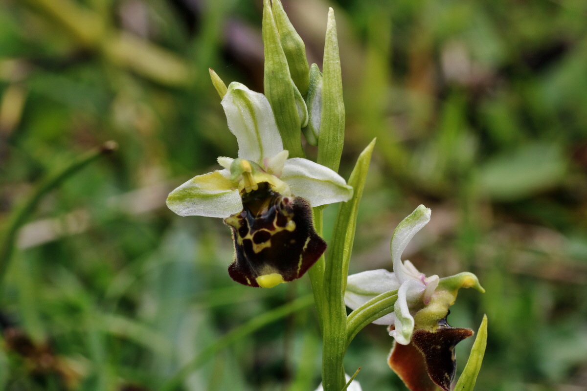 IMG-2015-06-01-00005532p_Bildgr��e �ndern