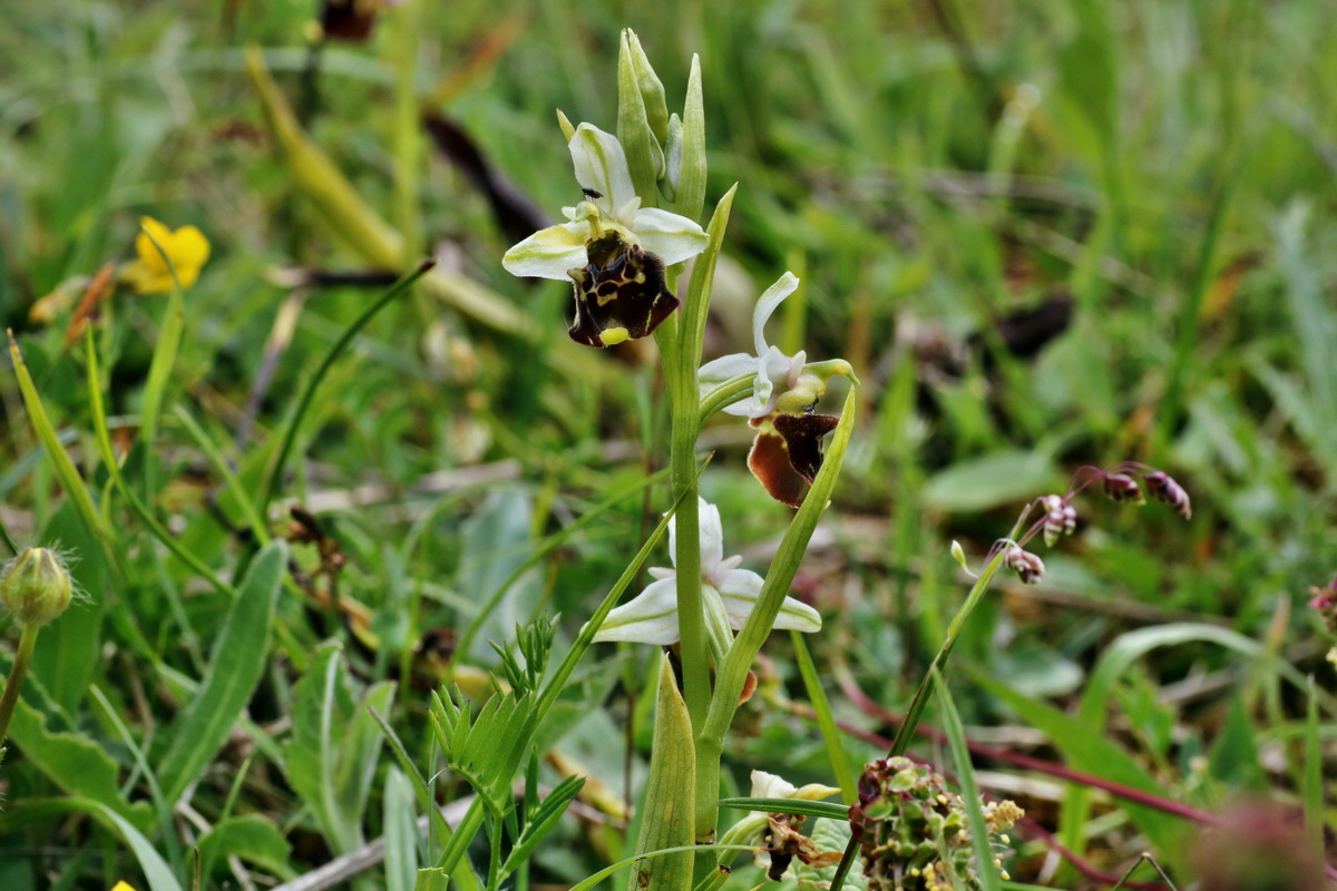 IMG-2015-06-01-00005535p_Bildgr��e �ndern