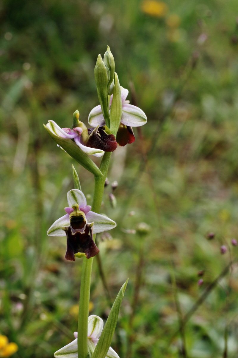 IMG-2015-06-01-00005542p_Bildgr��e �ndern