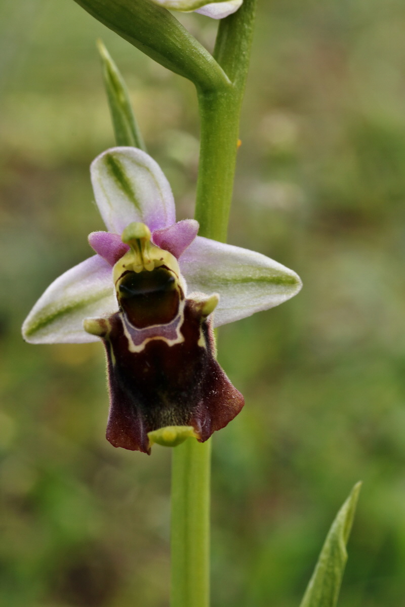 IMG-2015-06-01-00005547p_Bildgr��e �ndern