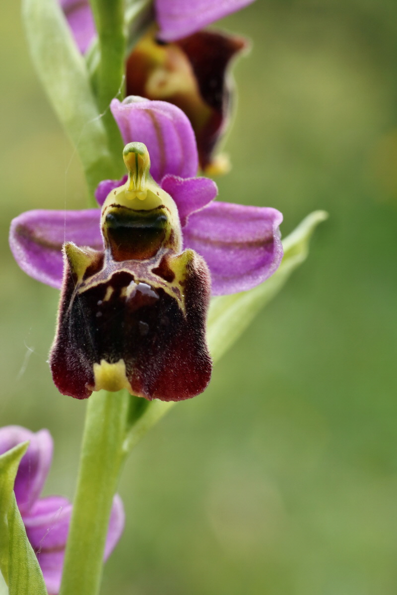 IMG-2015-06-01-00005550p_Bildgr��e �ndern