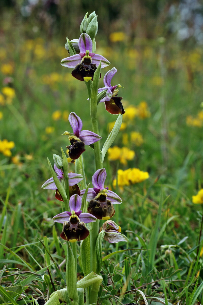 IMG-2015-06-01-00005563p_Bildgr��e �ndern