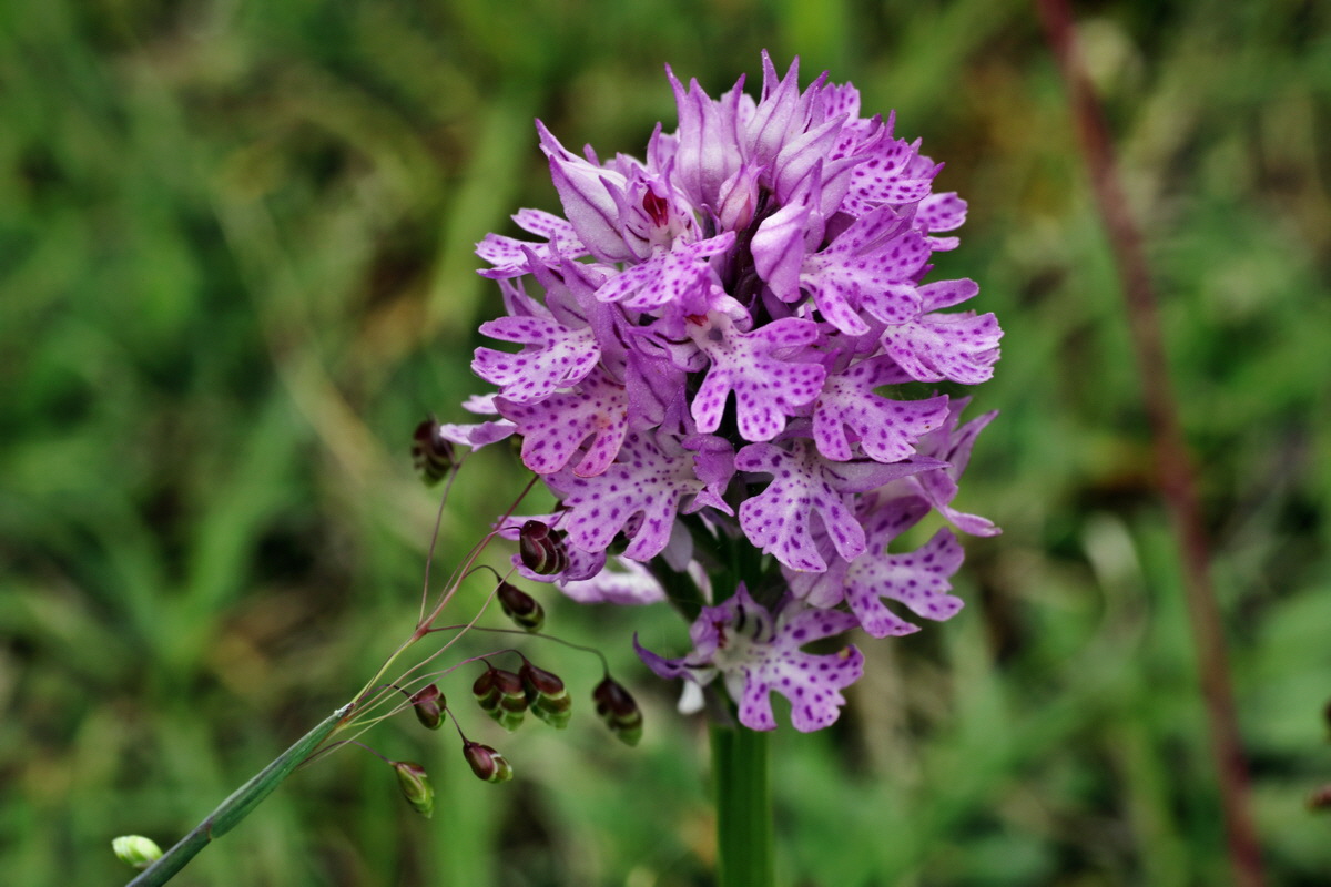 IMG-2015-06-01-00005568p_Bildgr��e �ndern