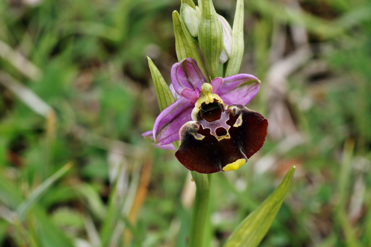 IMG-2015-06-01-00005571p_Bildgr��e �ndern