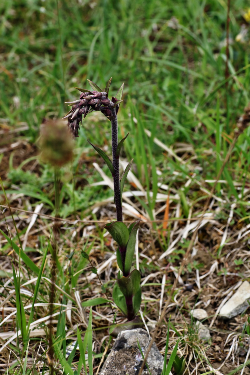 IMG-2015-06-01-00005583p_Bildgr��e �ndern