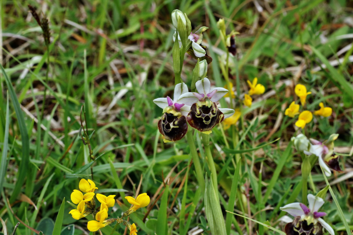 IMG-2015-06-01-00005585p_Bildgr��e �ndern