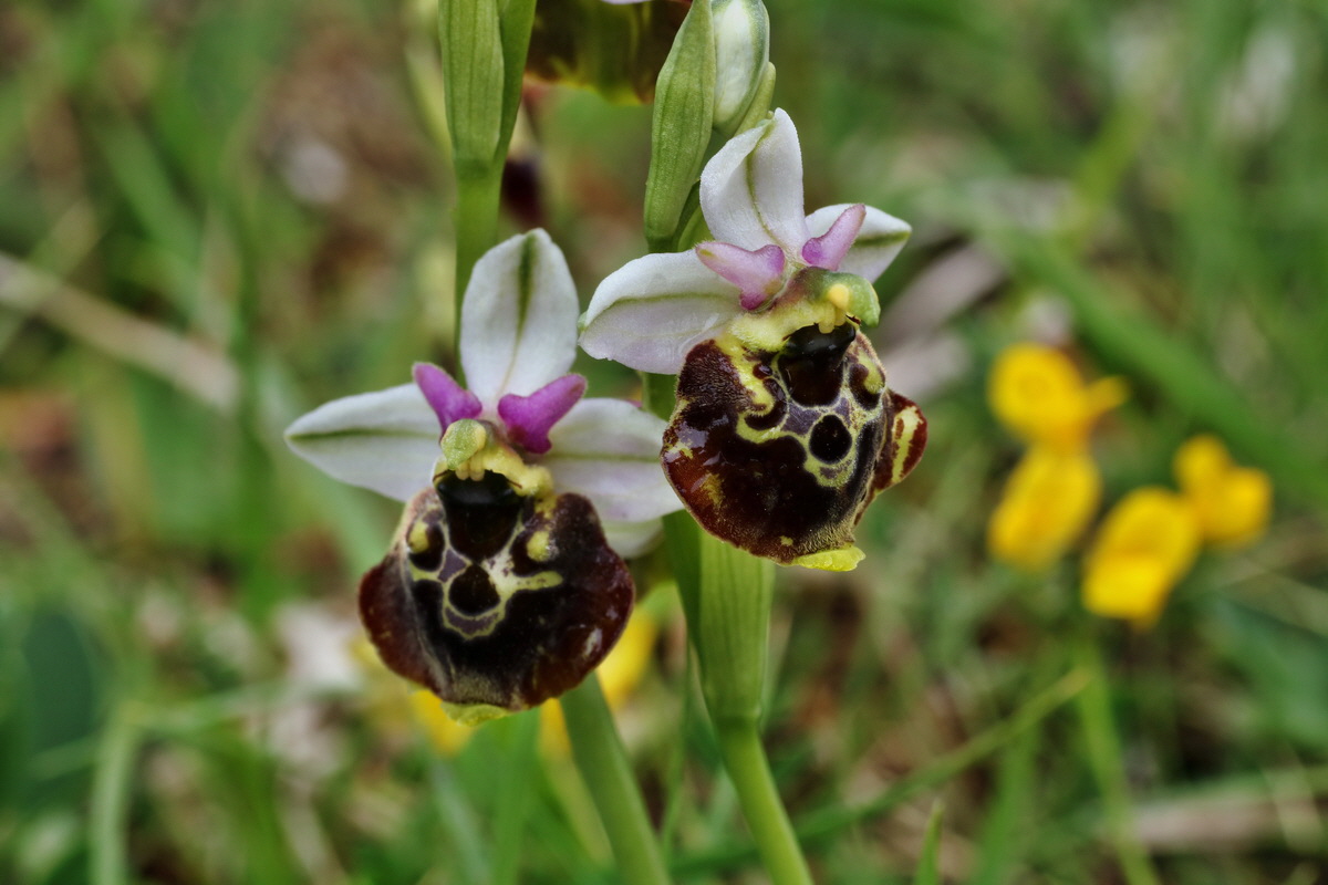 IMG-2015-06-01-00005591p_Bildgr��e �ndern