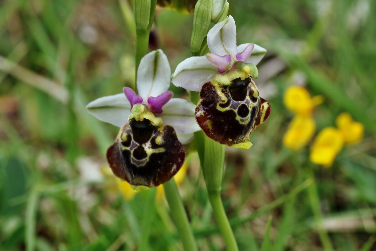 IMG-2015-06-01-00005593p_Bildgr��e �ndern