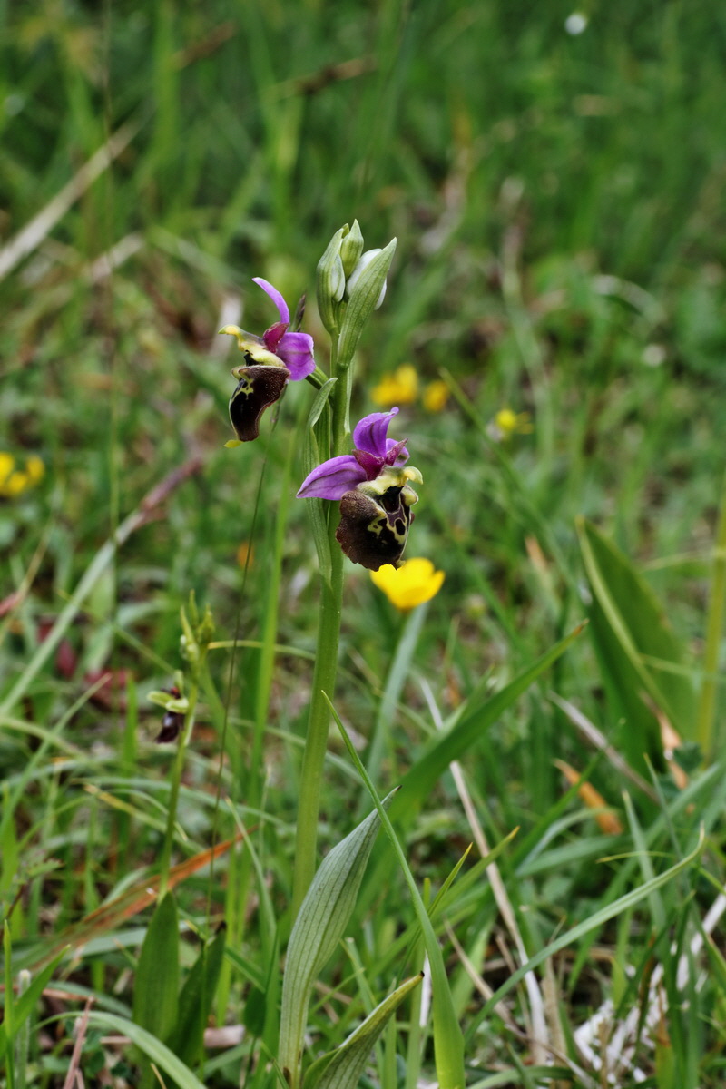 IMG-2015-06-01-00005597p_Bildgr��e �ndern